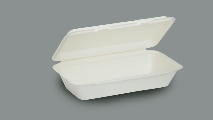 WhatsApp Image 2025-08-28 at 19.24.16 (1)