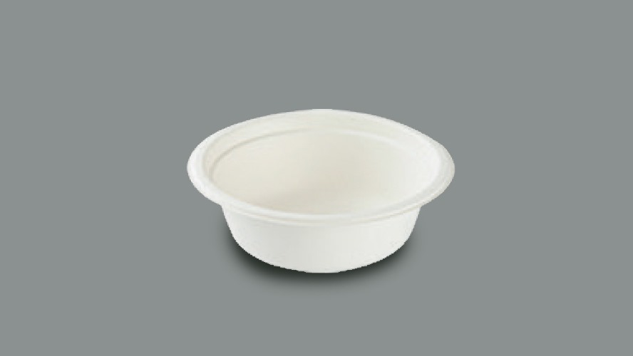 WhatsApp Image 2025-08-28 at 19.24.17